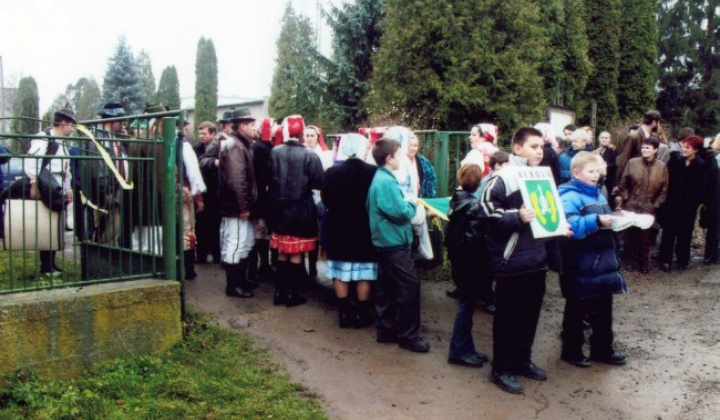 Akcie